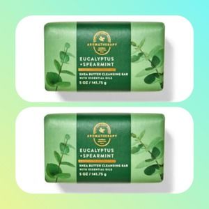 2 AROMATHERAPY EUCALYPTUS SPEARMINT SHEA BUTTER CLEANSING BARS